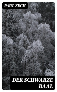 Enlarge image Cover: Der schwarze Baal - DigiCat