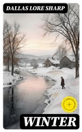 Cover: Winter - DigiCat