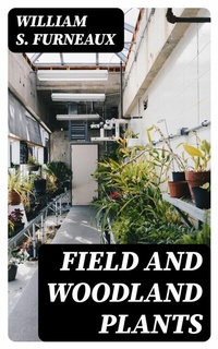 Abbildung von: Field and Woodland Plants - DigiCat