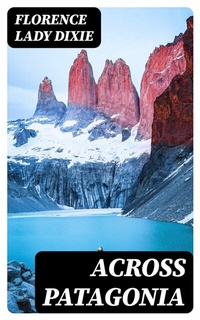 Abbildung von: Across Patagonia - DigiCat