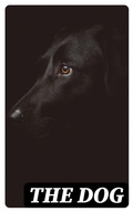 Cover: The Dog - DigiCat