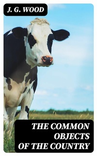 Abbildung von: The Common Objects of the Country - DigiCat