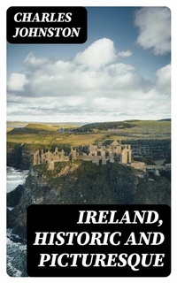 Abbildung von: Ireland, Historic and Picturesque - DigiCat