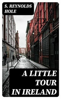 Abbildung von: A Little Tour in Ireland - DigiCat