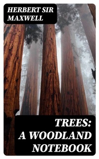 Abbildung von: Trees: A Woodland Notebook - DigiCat