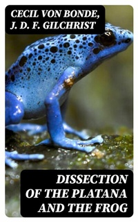 Abbildung von: Dissection of the Platana and the Frog - DigiCat