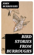 Cover: Bird Stories from Burroughs - DigiCat