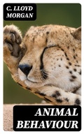 Cover: Animal Behaviour - DigiCat
