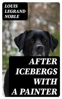 Abbildung von: After Icebergs with a Painter - DigiCat
