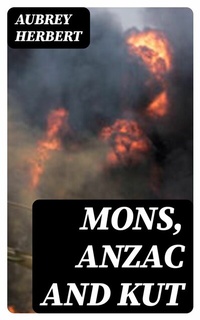 Abbildung von: Mons, Anzac and Kut - DigiCat