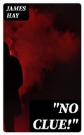 Cover: "No Clue!" - DigiCat