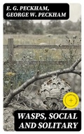 Cover: Wasps, Social and Solitary - DigiCat