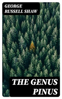 Abbildung von: The Genus Pinus - DigiCat