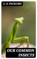 Cover: Our Common Insects - DigiCat