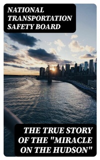 Abbildung von: The True Story of the "Miracle on the Hudson" - DigiCat