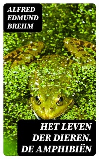 Abbildung von: Het Leven der Dieren. De Amphibiën - DigiCat