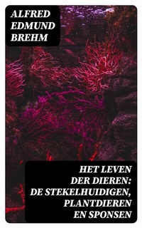 Abbildung von: Het Leven der Dieren: De Stekelhuidigen, Plantdieren en Sponsen - DigiCat