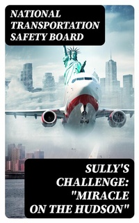 Abbildung von: Sully's Challenge: "Miracle on the Hudson" - DigiCat