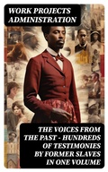 Cover: The Voices From The Past - Hundreds of Testimonies by Former Slaves In One Volume - DigiCat
