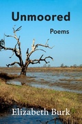 Cover: Unmoored - Texas Review Press