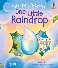 Abbildung von: One Little Raindrop - Usborne Publishing Ltd