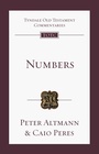 Cover: Numbers - IVP