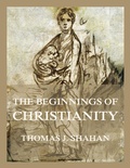 Cover: The Beginnings of Christianity - Jazzybee Verlag