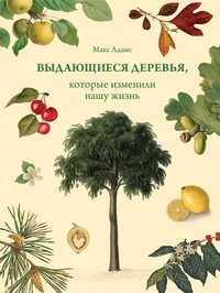 Enlarge image Cover: Trees of Life - Colibri