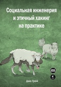 Cover: Sotsialnaya inzheneriya i etichnyy haking na praktike - DMK Press