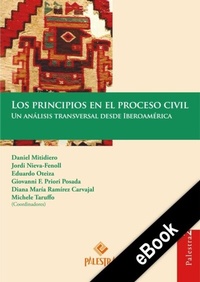 Abbildung von: Los principios en el proceso civil - Palestra Editores