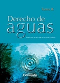 Abbildung von: Derecho de aguas Tomo X - Universidad Externado