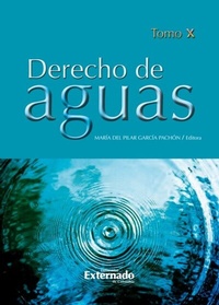 Abbildung von: Derecho de aguas Tomo X - Universidad Externado