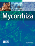 Abbildung von: Mycorrhiza - Springer