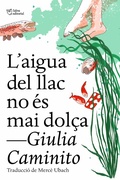Cover: L'aigua del llac no &eacute;s mai dol&ccedil;a - L'Altra editorial