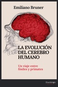 Cover: La evoluci&oacute;n del cerebro humano - Shackleton books