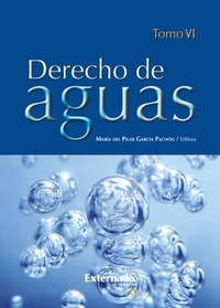 Abbildung von: Derecho de Aguas Tomo VI - Universidad Externado