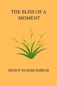 Abbildung von: The Bliss of a Moment - Blurb