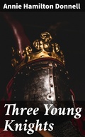 Cover: Three Young Knights - Good Press