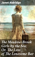 Cover: The Meadow-Brook Girls by the Sea; Or, The Loss of The Lonesome Bar - Good Press