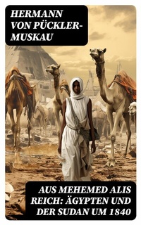 Abbildung von: Aus Mehemed Alis Reich: Ägypten und der Sudan um 1840 - DigiCat