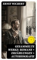 Cover: Gesammelte Werke: Romane + Erz&auml;hlungen + Autobiografie - DigiCat