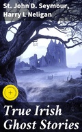 Cover: True Irish Ghost Stories - Good Press