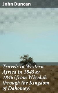 Abbildung von: Travels in Western Africa in 1845 & 1846 (from Whydah through the Kingdom of Dahomey) - Good Press