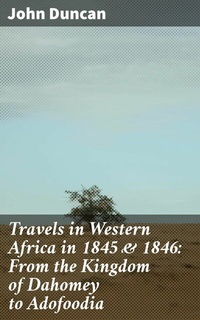 Abbildung von: Travels in Western Africa in 1845 & 1846: From the Kingdom of Dahomey to Adofoodia - Good Press