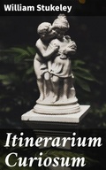 Cover: Itinerarium Curiosum - Good Press