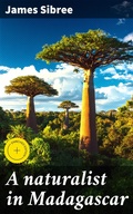 Cover: A naturalist in Madagascar - Good Press