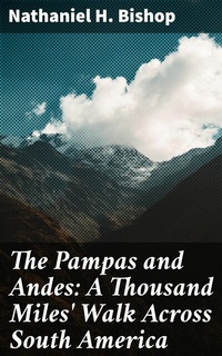 Abbildung von: The Pampas and Andes: A Thousand Miles' Walk Across South America - Good Press