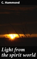 Cover: Light from the spirit world - Good Press