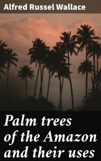 Abbildung von: Palm trees of the Amazon and their uses - Good Press
