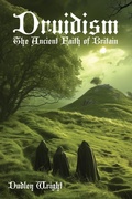Cover: Druidism - Arabi Manor